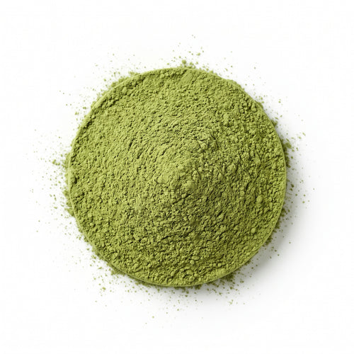 Poudre de matcha culinaire, vert mat, texture légèrement plus granuleuse